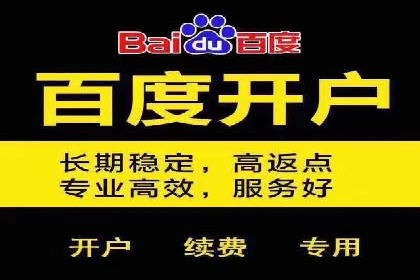 百度搜索推广案例解析：优化策略大揭秘
